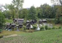 The Seven Golden Lampstands