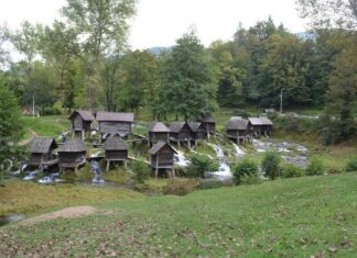 The Seven Golden Lampstands