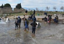 Infant Mortality in Bulgaria (1944–1977)