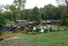 The Turning Point of the Vision